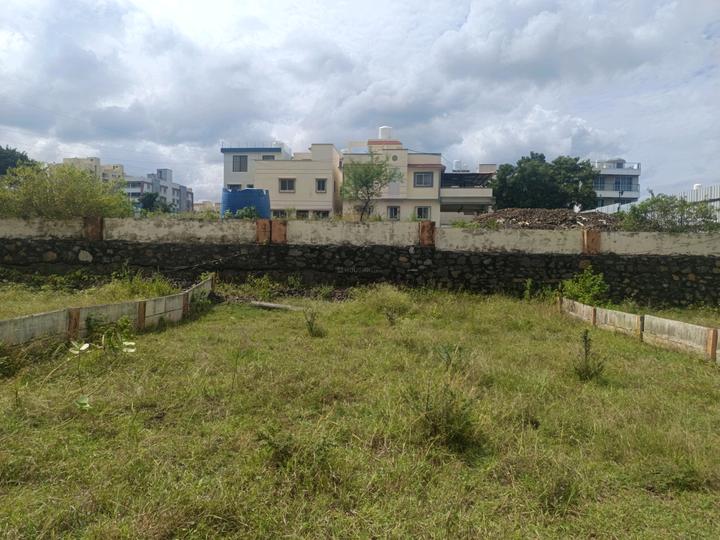 childhood upper yew Main Image 1