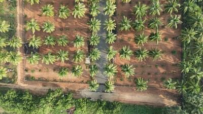 Image of 9600 Sq.ft Residential Plot / Land for sale in Panjappur, Tiruchirappalli for Rs. 8900000