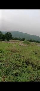 Image of 1742 Sq.ft Residential Plot / Land for sale in Bazarapada, Angul for Rs. 2500000