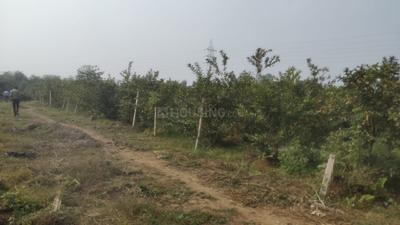 Image of 12000 Sq.ft Residential Plot / Land for sale in Bhatagaon, Raipur for Rs. 5400000