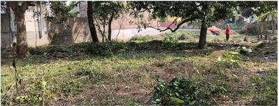 Image of 8069 Sq.ft Residential Plot / Land for sale in Basirhat, North 24 Parganas District for Rs. 9900000