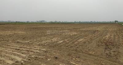 Image of 77440 Sq.ft Residential Plot / Land for sale in Dholera, Ahmedabad for Rs. 180000000