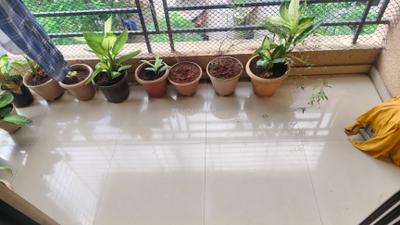 Balcony Image of 1137 Sq.ft 2 BHK Apartment / Flat for rent in Kalamboli Navi Mumbai for Rs. 35000