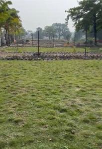 Residential Plot