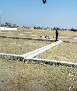 Image of 1200 Sq.ft Residential Plot / Land for sale in Haludpukhur, East Singhbhum for Rs. 210000