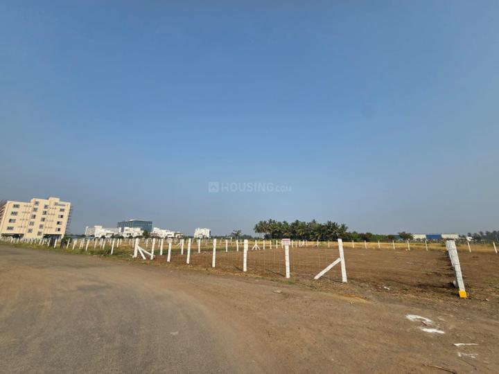 Kalapatti Main Image 1