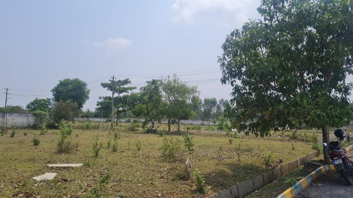 ABM Pearl valley Main Image 1