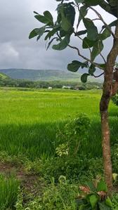 Image of 5443 Sq.ft Residential Plot / Land for sale in Uran, Navi Mumbai for Rs. 3000000