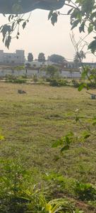 Image of 1200 Sq.ft Residential Plot / Land for sale in Othakalmandapam, Coimbatore for Rs. 2338800