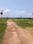 Swapnabhumi Internal Roads 1