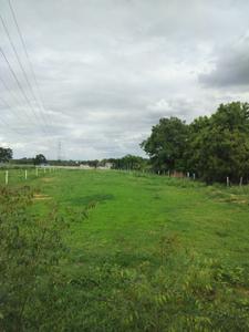 Agricultural Land