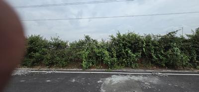 Image of 2400 Sq.ft Residential Plot / Land for sale in Nadaprabhu Kempegowda layout, Bengaluru for Rs. 31000000
