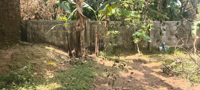 Image of 3045 Sq.ft Residential Plot / Land for sale in Thrippunithura, Kochi for Rs. 12600000