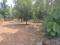 keralarealty Plot View 2