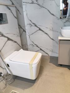 Common Bathroom Image of 2700 Sq.ft 4 BHK Builder Floor for sale in DLF City Floor Phase 2, DLF Phase 2 Gurgaon for Rs. 52500000