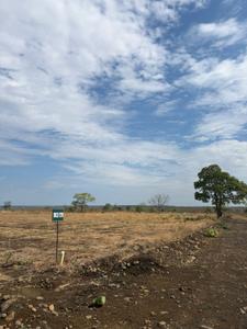 Image of 530 Sq.ft 1 RK Farm House for sale in Wanadongri, Nagpur for Rs. 1680000