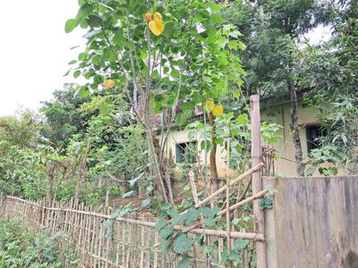 Image of 2376 Sq.ft 5 BHK Independent House for sale in Bardowali, Agartala for Rs. 13500000