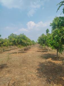 Image of 212 Sq.ft Residential Plot / Land for sale in Jinnaram, Sangareddy for Rs. 2300000