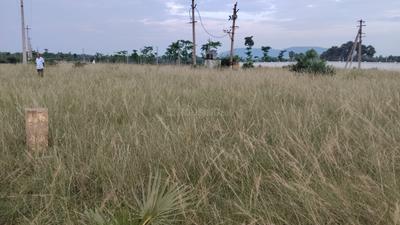 Image of 200 Sq.ft Residential Plot / Land for sale in Koduru, Vizianagaram for Rs. 3250000