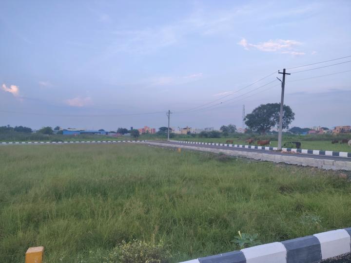 Newry Clover County Main Image 1