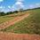 Vipul Greens Main Image 1