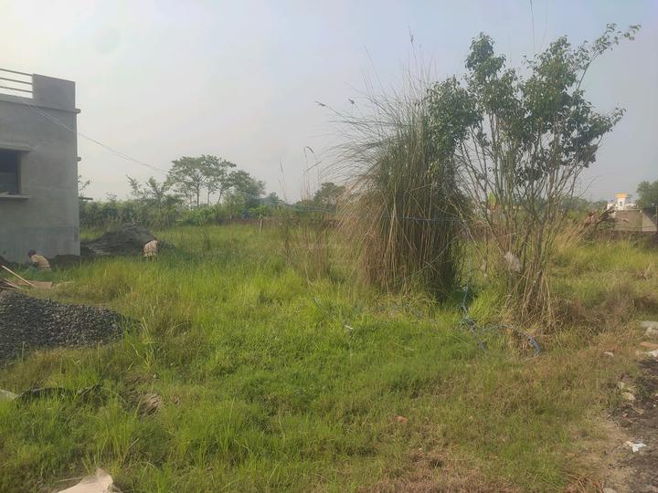 Dream City Kolkata Main Image 1