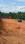 Padathikkara Plot View 2