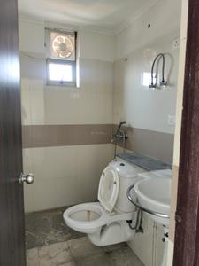 Bedroom One Image of 996 Sq.ft 2 BHK Apartment / Flat for rent in Amrapali Pan Oasis, Sector 70 Noida for Rs. 30500
