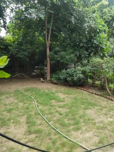 Image of 3600 Sq.ft 5 BHK Independent House for rent in Sector 50, Noida for Rs. 140000