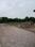 Sushant Lok Phase 3 Plot View 2