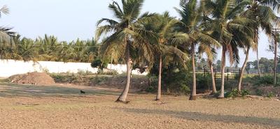 Image of 20000 Sq.ft Residential Plot / Land for sale in Koovathur, Chennai for Rs. 30000000