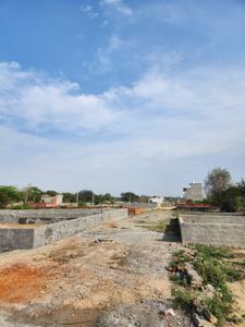 Dankaur Plot View 3