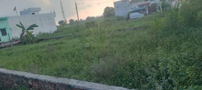 Ramnagar Rd More Images 1