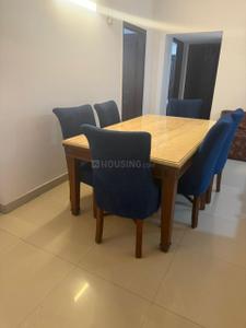 3 BHK Flat