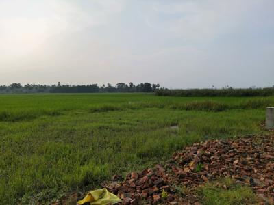 Image of 720 Sq.ft Residential Plot / Land for sale in Asha Enclave, New Town, Kolkata for Rs. 1210000