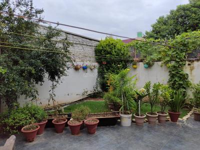 Balcony Image of Srishti in Sector 15, Chandigarh