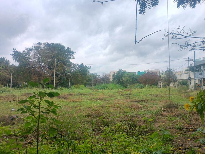 CElebrity Groups Main Image 1