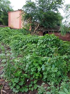 Image of 16880 Sq.ft Residential Plot / Land for sale in Kalyan West, Kalyan for Rs. 4000000