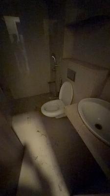 Image of 1110 Sq.ft 2 BHK Apartment / Flat for sale in Seawoods, Navi Mumbai for Rs. 22500000