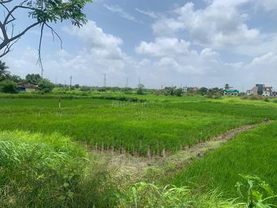 Image of 1089 Sq.ft Residential Plot / Land for sale in Bori Bk, Navi Mumbai for Rs. 500000