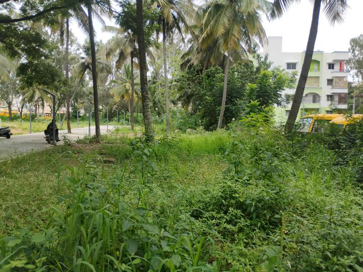 Classic Orchids Layout, Kalena Agrahara Main Image 1