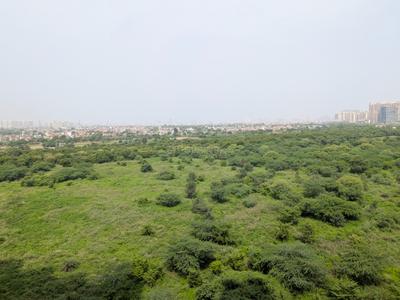 Balcony Image of 556 Sq.ft 2 BHK Apartment / Flat for rent in Amrapali Riverview, Noida Extension Greater Noida for Rs. 18000