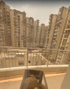 Image of 2100 Sq.ft 4 BHK Apartment / Flat for rent in Supertech Eco Village 1, Noida Extension, Greater Noida for Rs. 33000