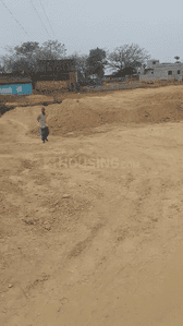 Hesal Plot View 2