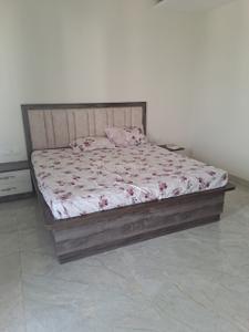 Bedroom Image of 1850 Sq.ft 2 BHK Builder Floor for rent in Sector 15 Panchkula for Rs. 35000