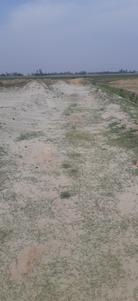 Image of 1000 Sq.ft Residential Plot / Land for sale in Maniram, Gorakhpur for Rs. 651000