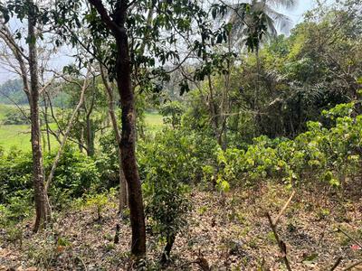 Image of 525 Sq.ft Residential Plot / Land for sale in Tivim, Goa for Rs. 16800000
