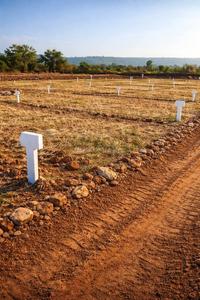 Balaji estate  Plot View 2
