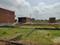 Vaidik City Dadri Greater Noida Plot View 1