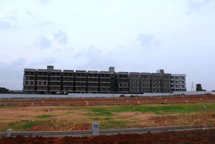 Ruby Sizzle Heritage Main Image 1